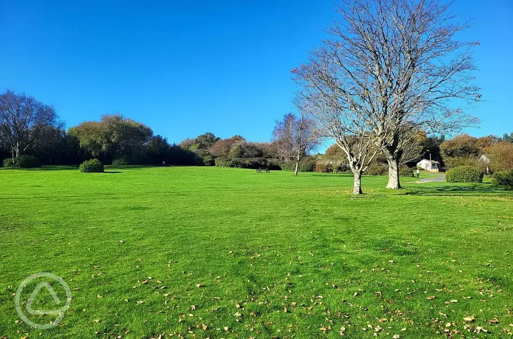 Non electric grass pitches