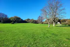 Non electric grass pitches Non electric grass pitches