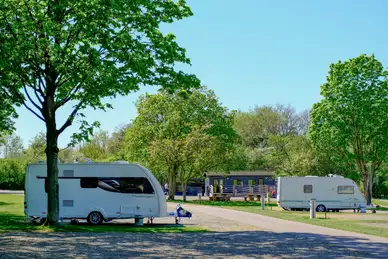 Fineshade Wood Campsite Fineshade Wood Campsite