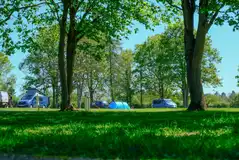 Electric grass pitches