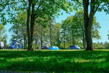 Electric grass pitches