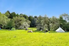 Hoddy Wood non electric grass tent pitches (shared facilities)