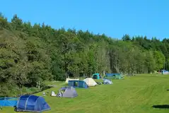 By the Beck non electric grass pitches with waterside views By the Beck non electric grass pitches with waterside views