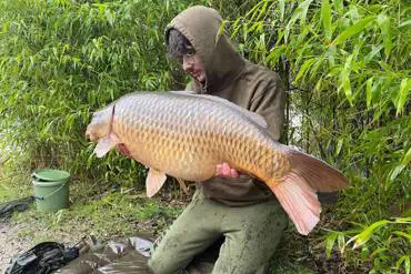 20lb plus common carp
