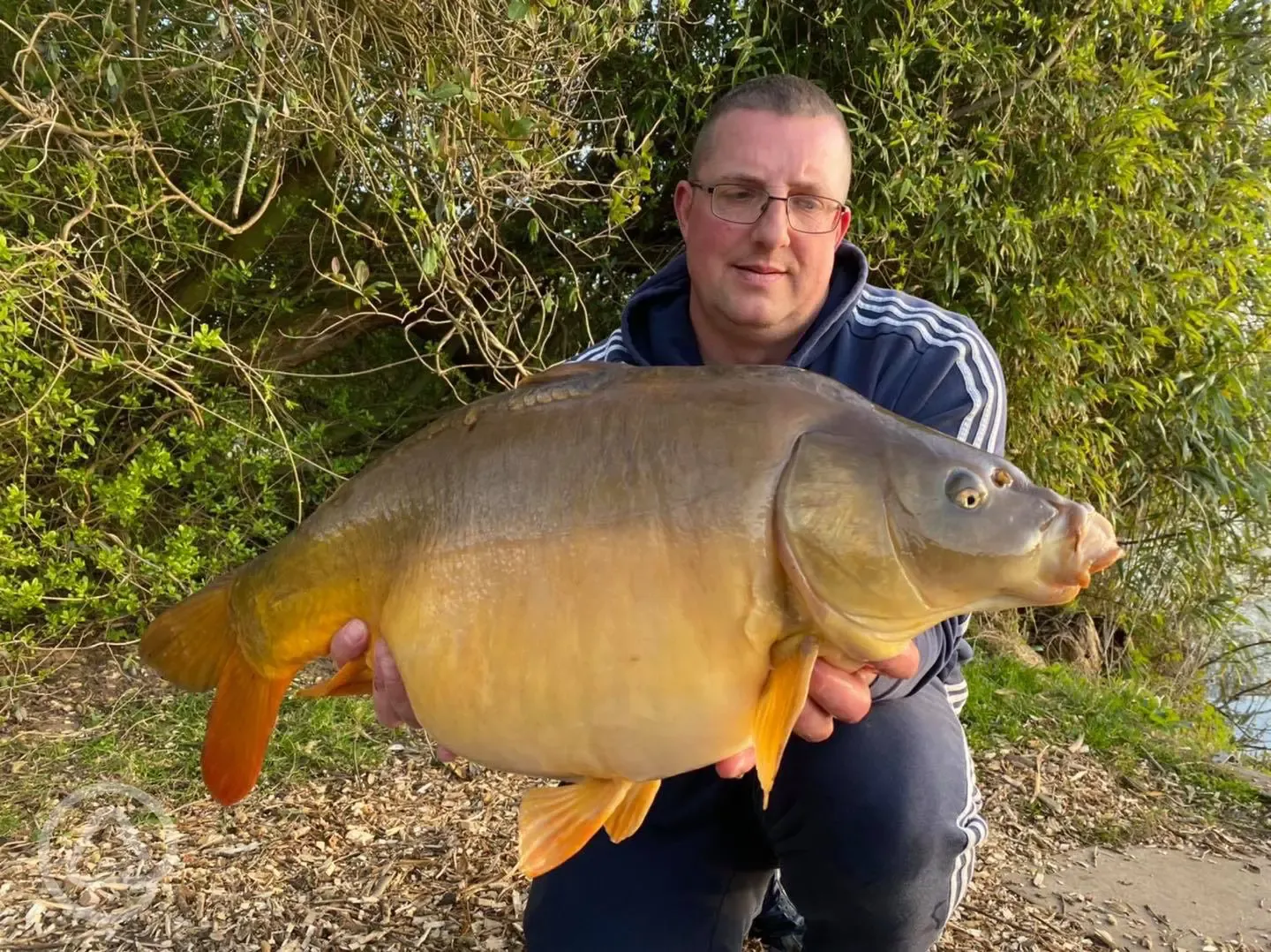 Mirror Carp