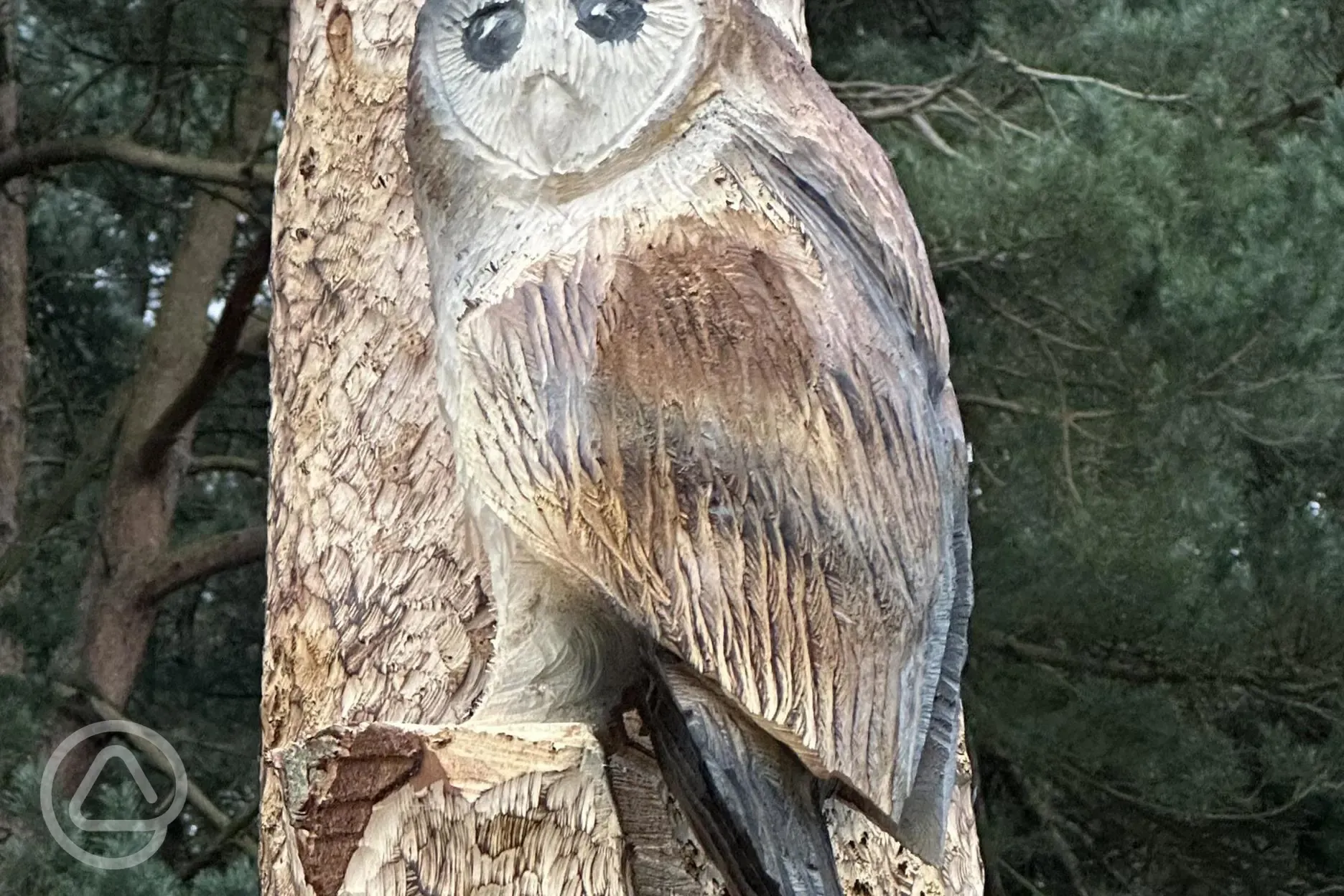 Onsite owl carving