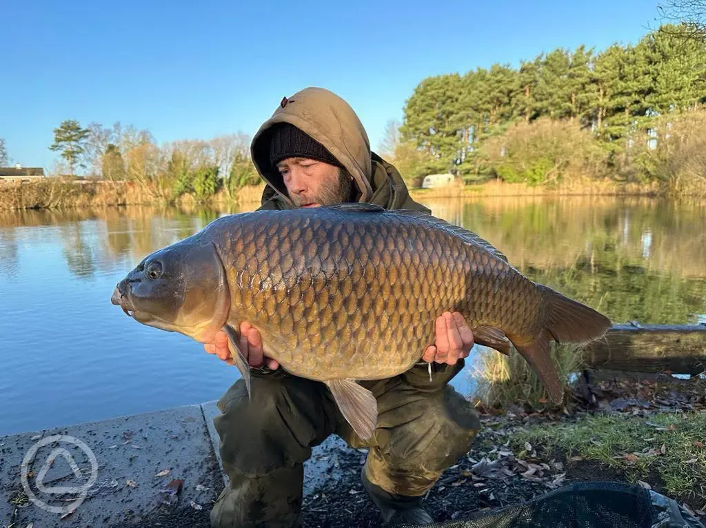 Carp lake fishing