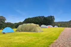 Non electric grass pitches