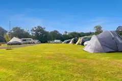 Non electric grass pitches at Old Park Cottage Camping
