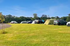 Non electric grass pitches