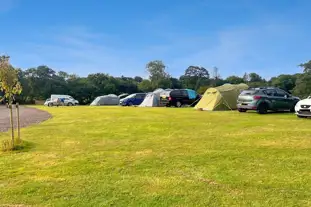 Old Park Cottage Camping, Holsworthy, Devon