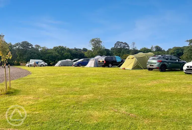 Non electric grass pitches