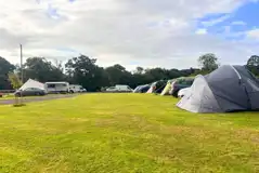 Non electric grass pitches