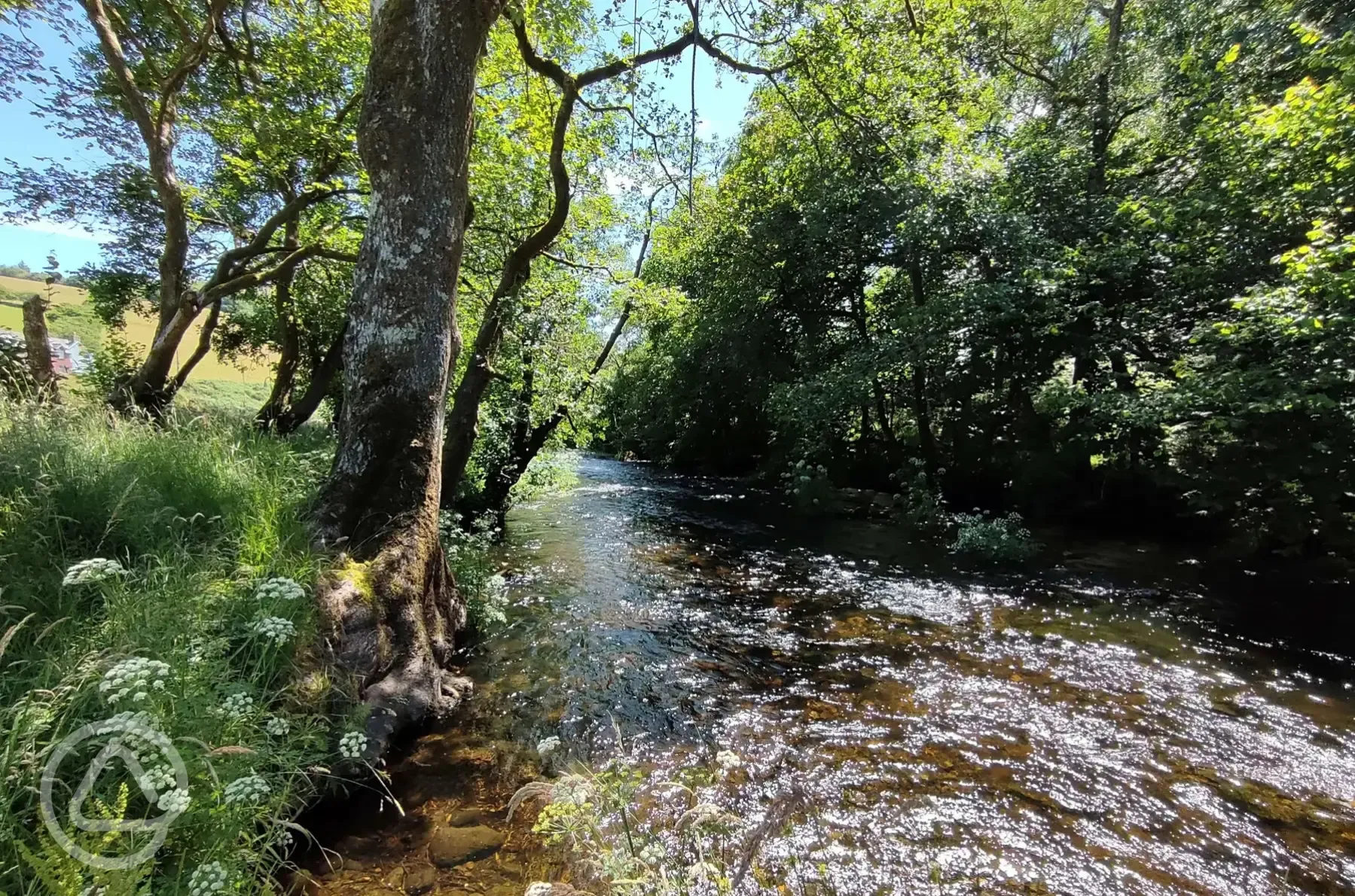 By the River Vyrnwy