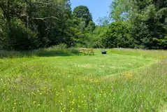 Non electric grass pitch measuring 10m by 10m