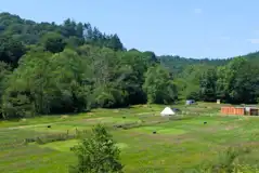 Overview of the campsite Overview of the campsite