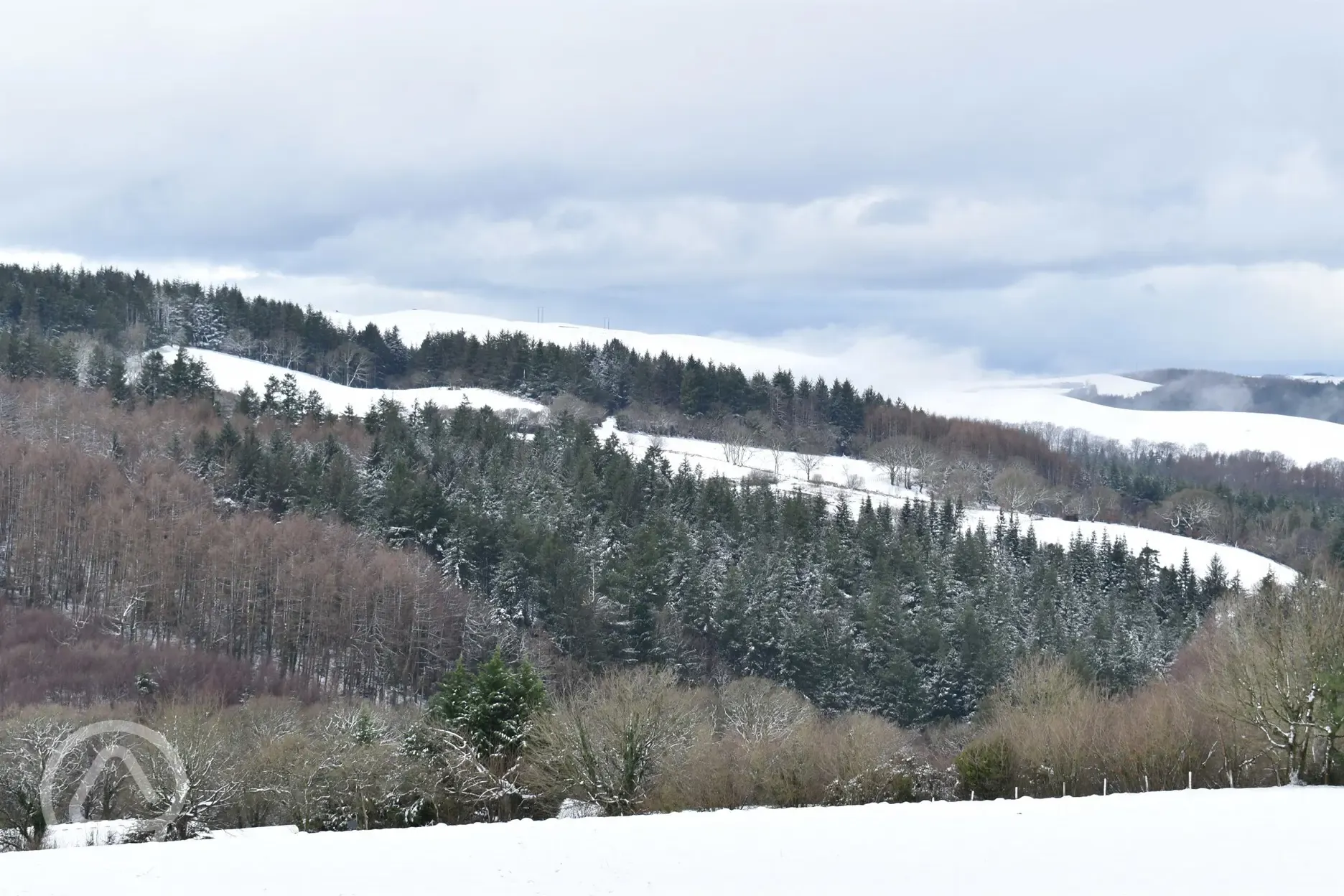 Winter views from site