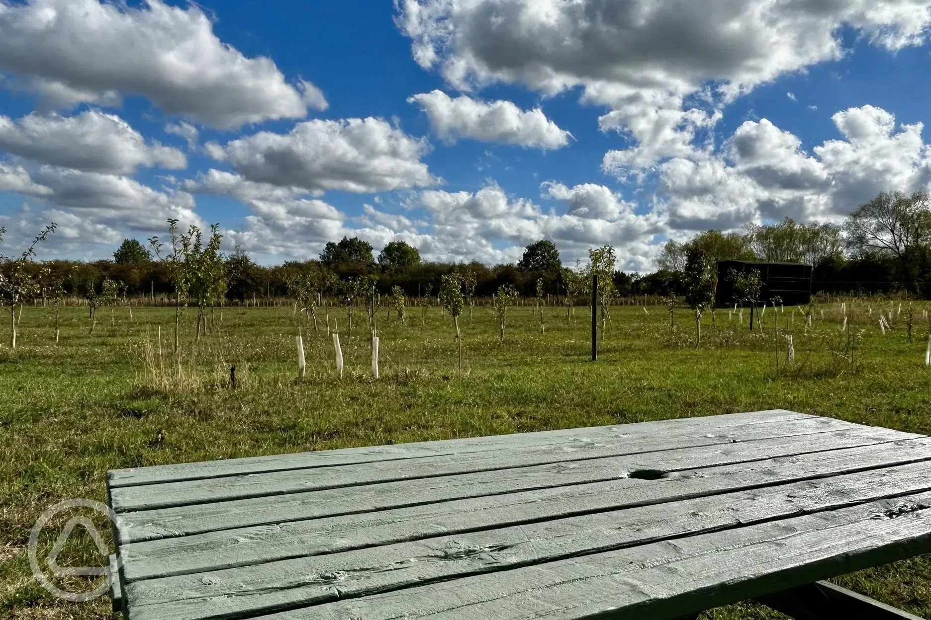 Orchard view from Coco Pod at Brambles Glamping