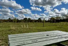 Orchard view from Coco Pod at Brambles Glamping Orchard view from Coco Pod at Brambles Glamping