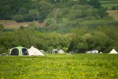 Non electric grass pitches Non electric grass pitches