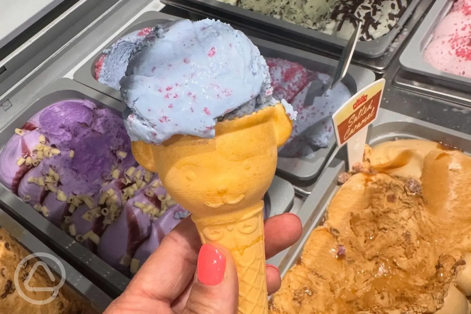 Ice cream served onsite Ice cream served onsite