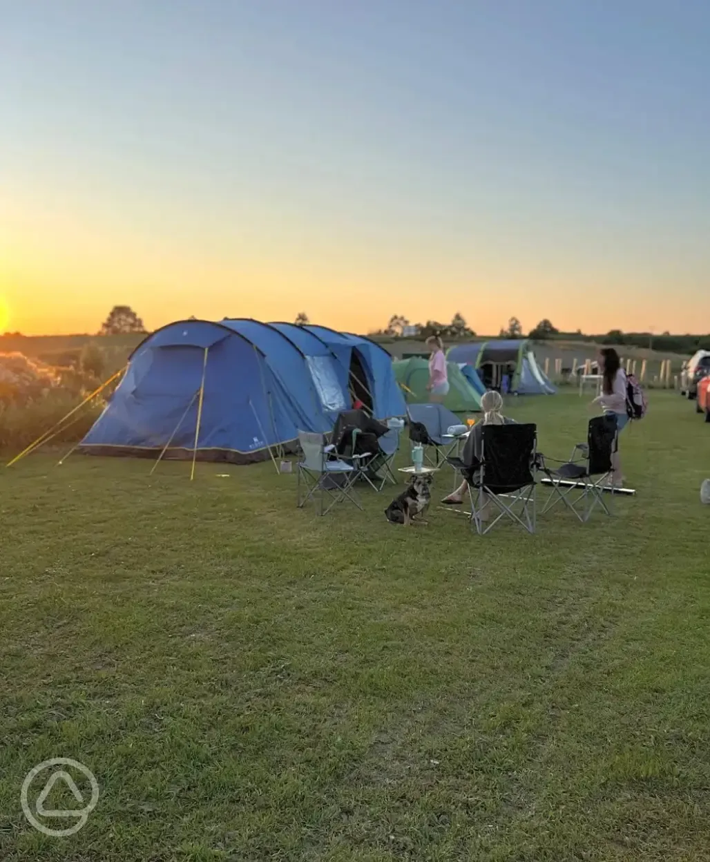 Electric grass pitches Electric grass pitches