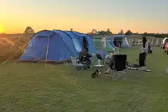 Electric grass pitches Electric grass pitches