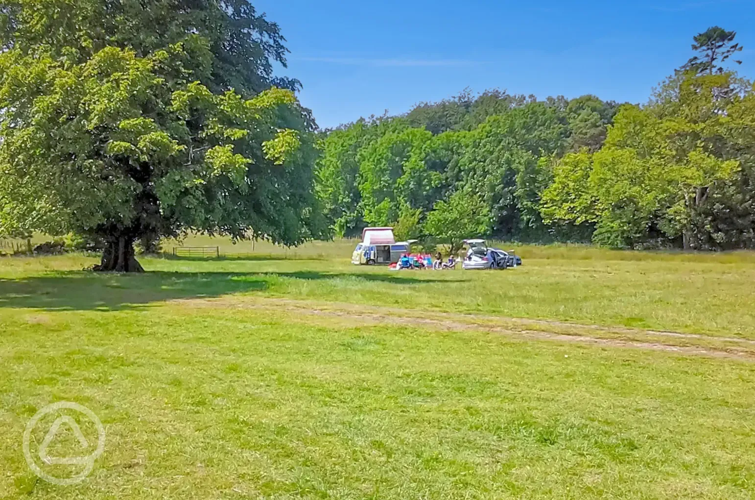 Grass tent pitches surrounded by trees