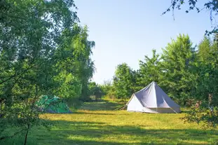 Rosehip Wood Campsite, West Dereham, Downham Market, Norfolk