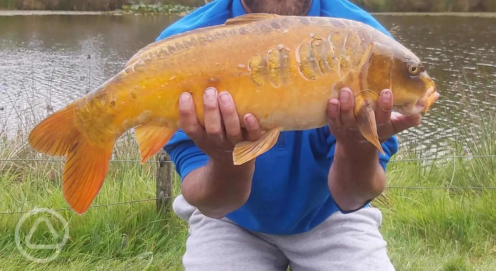 Fish from the lake
