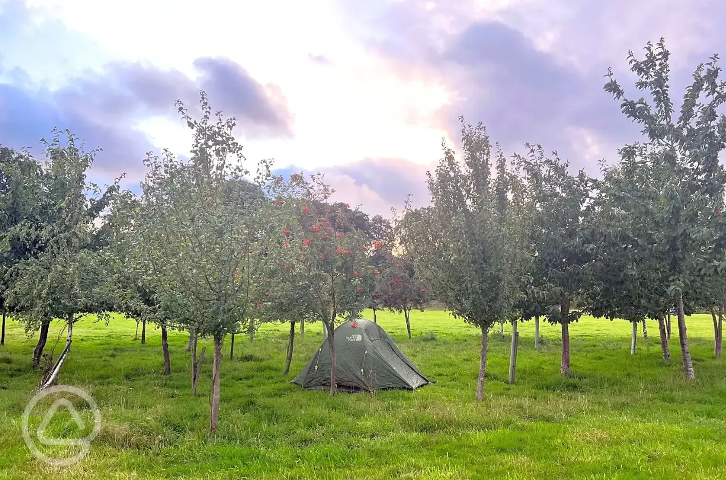 Non electric grass tent pitches