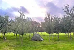 Non electric grass tent pitches Non electric grass tent pitches
