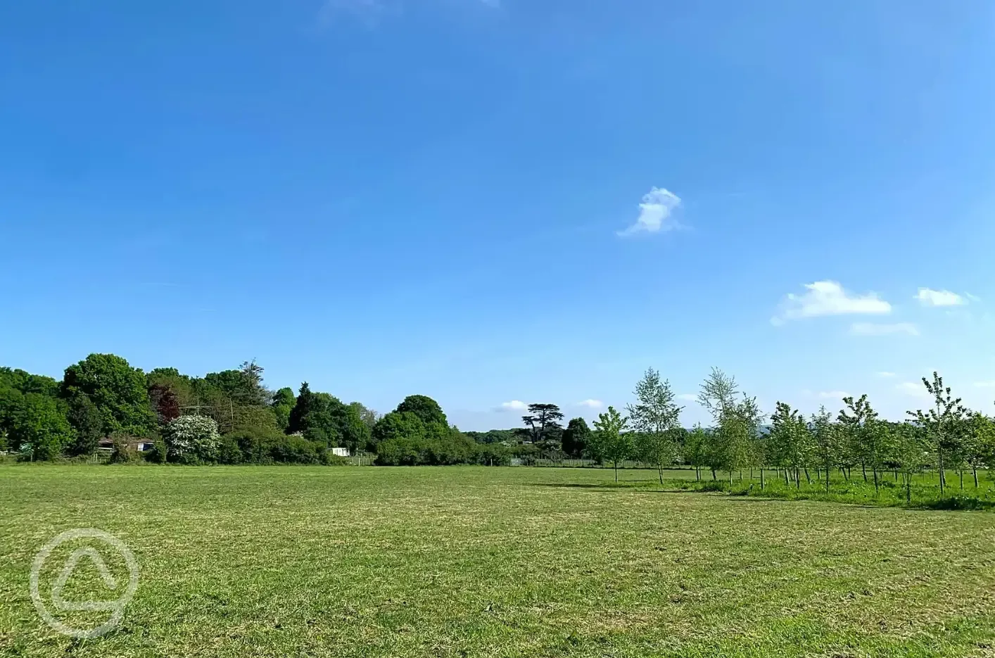 Non electric grass tent pitches