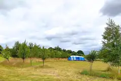 Non electric grass tent pitches Non electric grass tent pitches