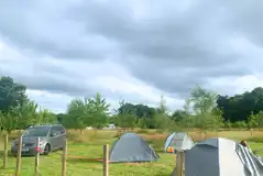 Non electric grass tent pitches Non electric grass tent pitches