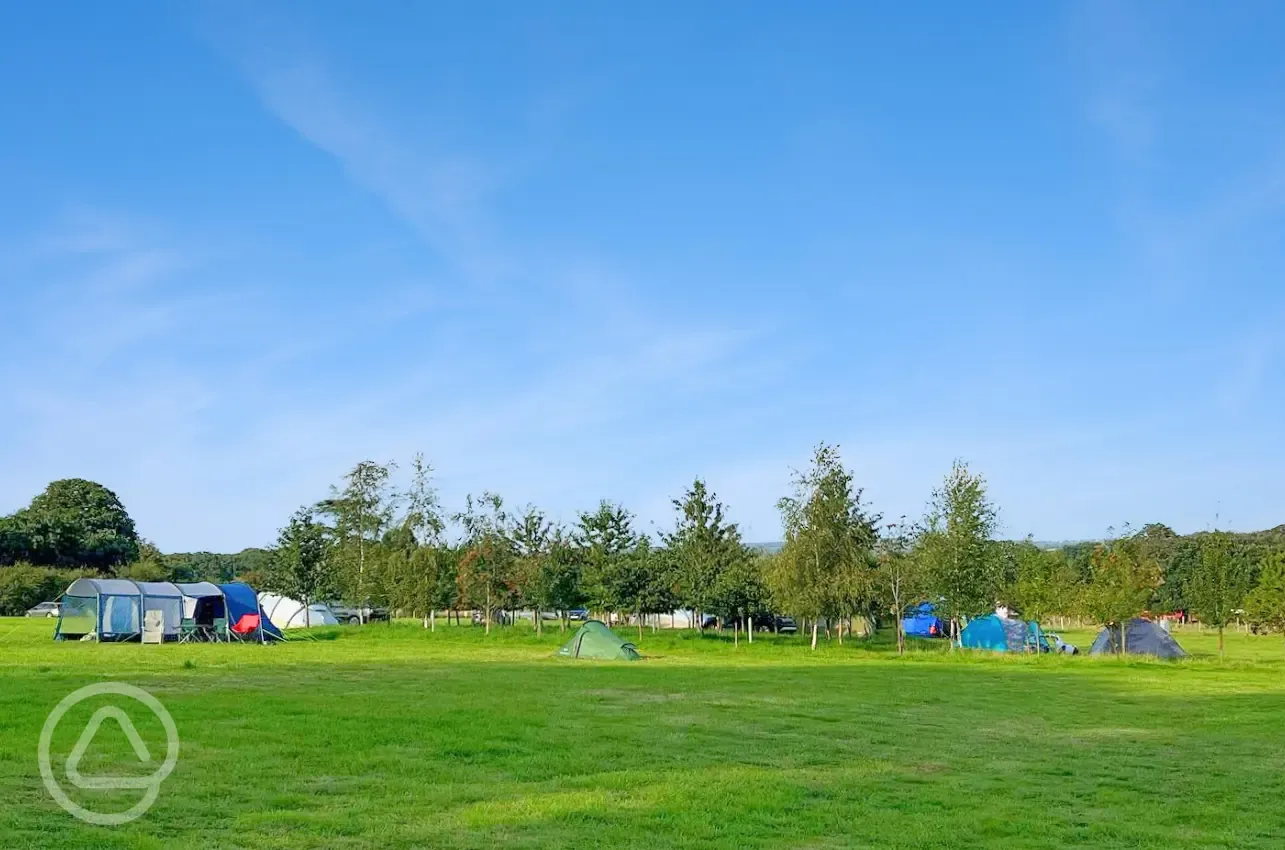 Non electric grass tent pitches