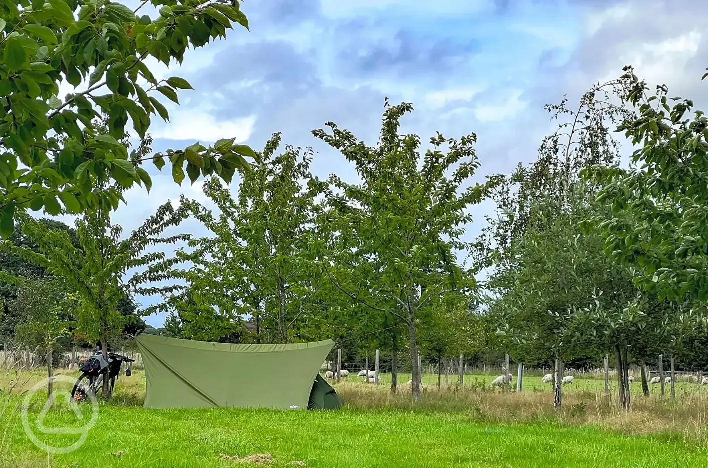 Non electric grass tent pitches