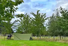 Non electric grass tent pitches Non electric grass tent pitches