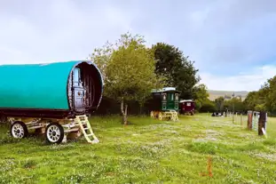 Travellers  Rest Glamping , Berwick St John, Salisbury, Wiltshire