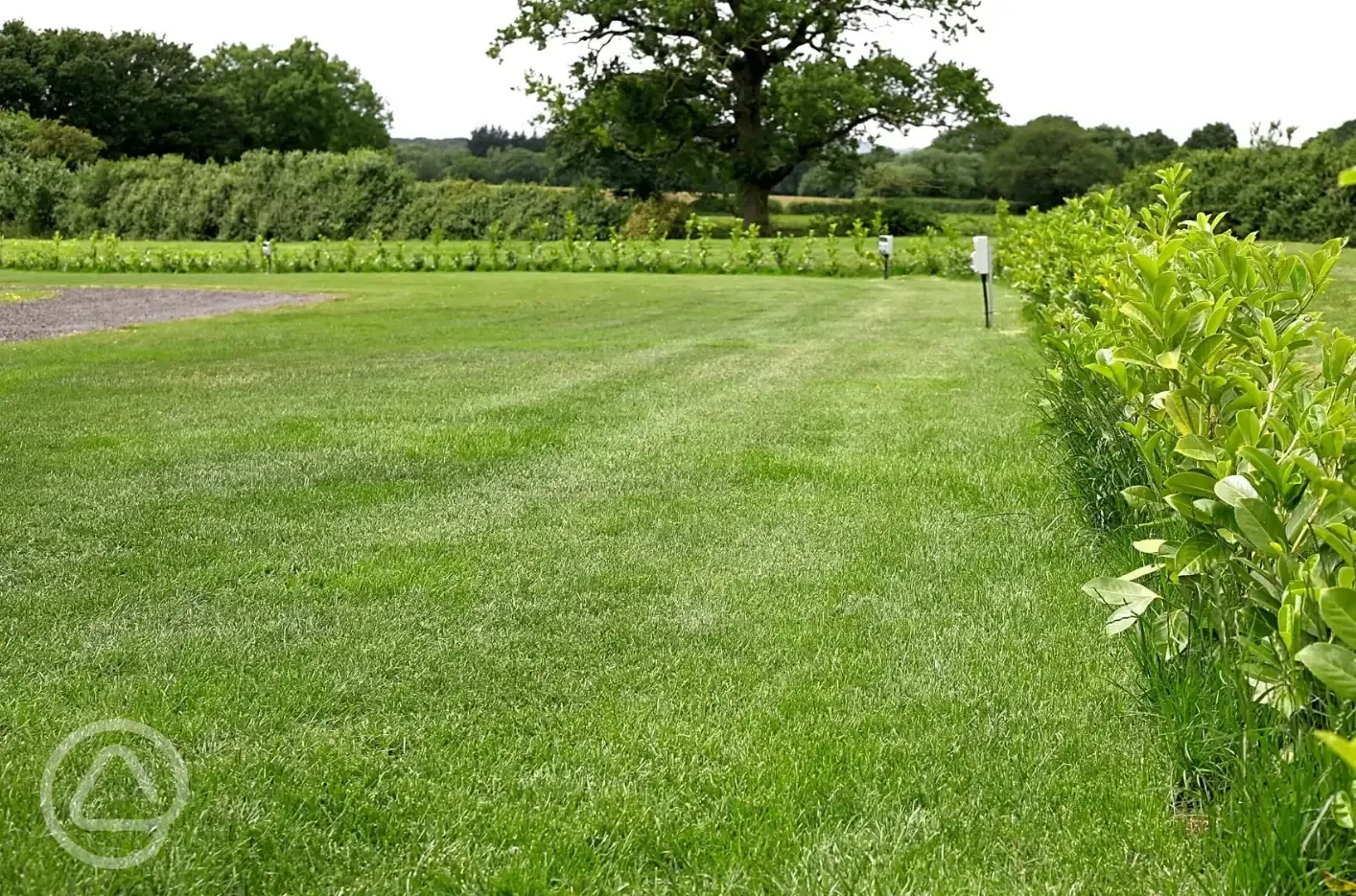 Electric grass touring pitches