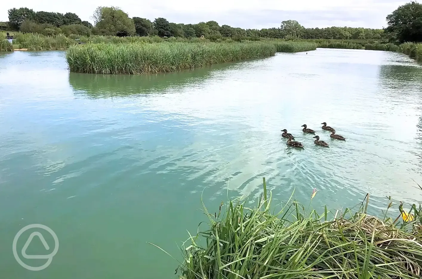 Coarse fishing pool