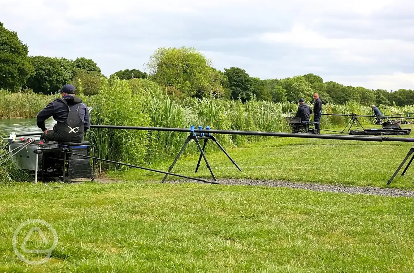 Fishing pegs