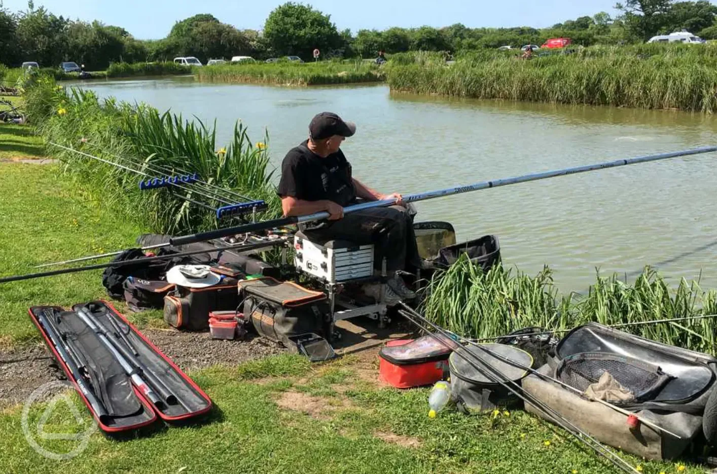 Fishing pegs