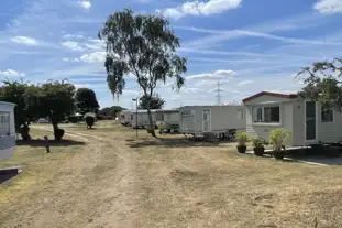 East Midland Sunfolk, Laughterton, Lincolnshire
