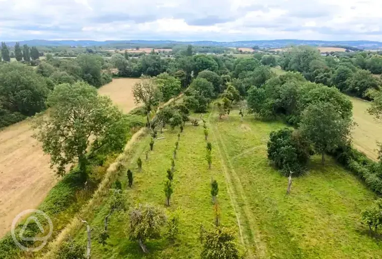 Aerial of the camping orchard