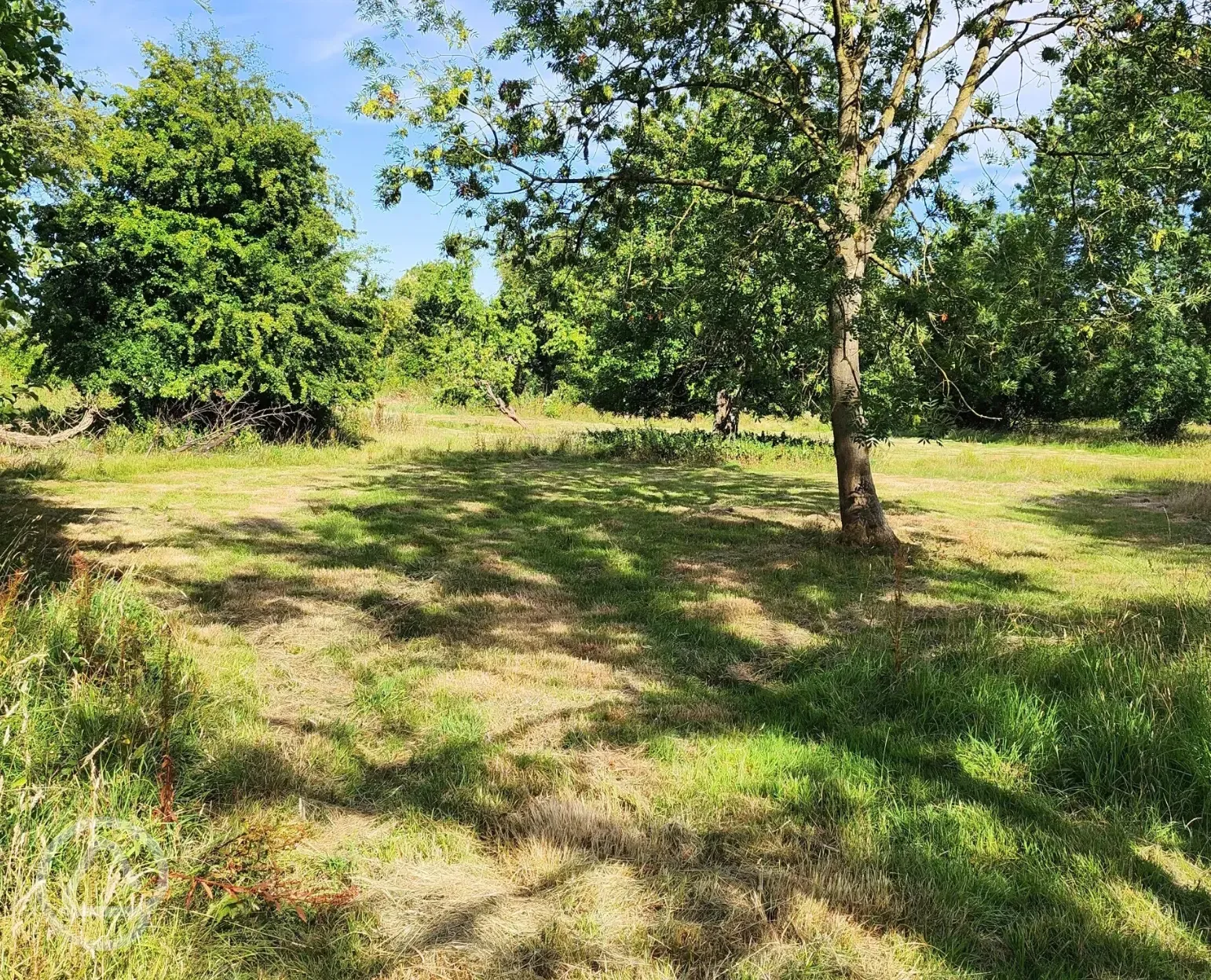 Non electric grass pitches