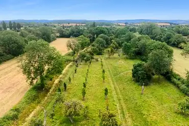 Aerial of the camping orchard at Broadway Farm Camping