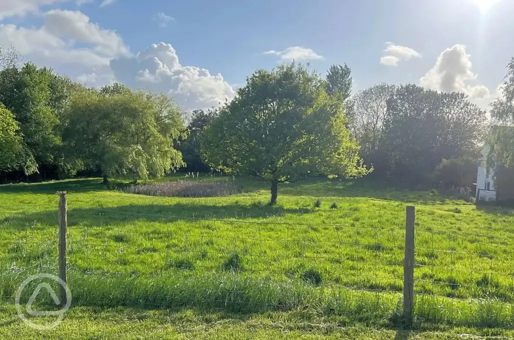 View of site fields