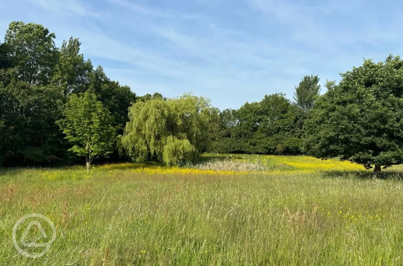 View of site fields