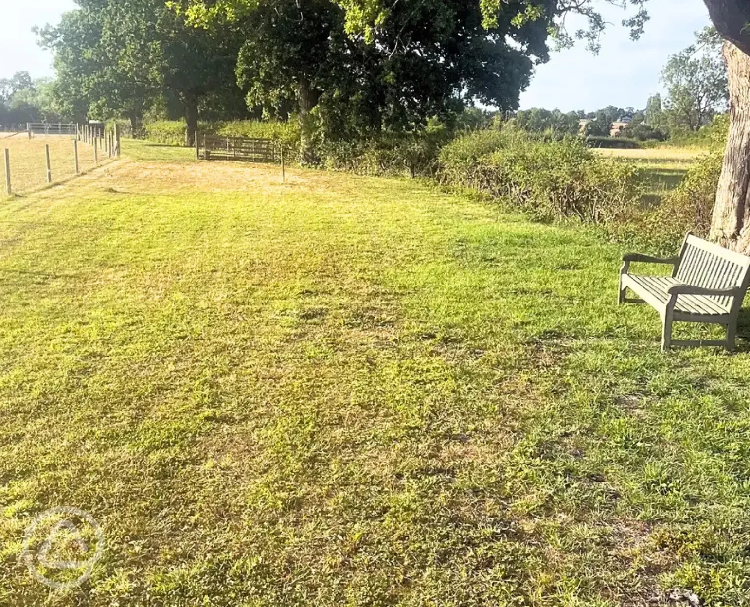 Dog run area